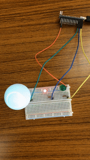 LEDをランダムに光らせるプログラム